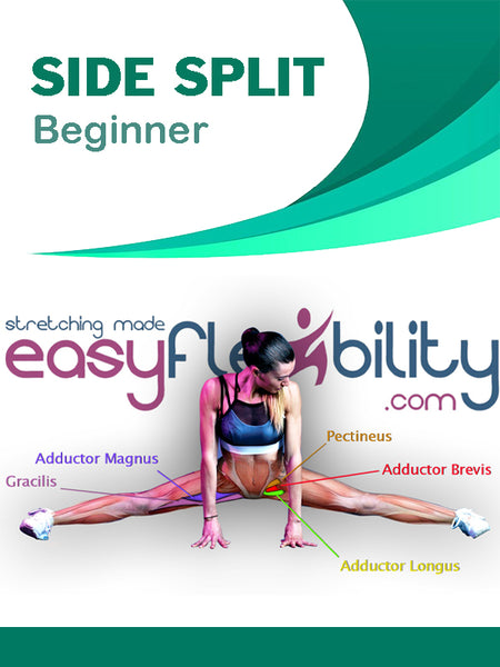 Side Splits Beginner – EasyFlexibility