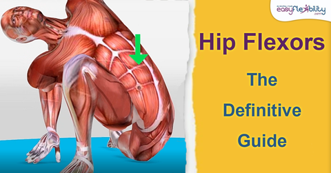 Hip Abduction With Flexion In Front Stretch - Video Guide