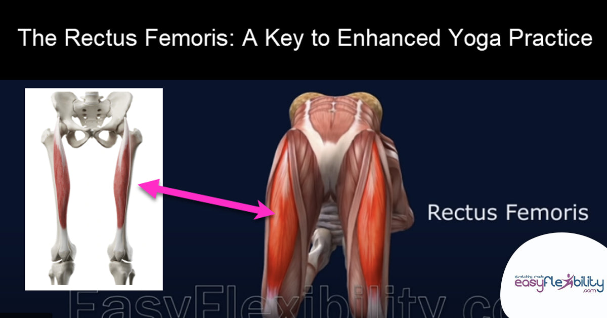 The Rectus Femoris: Yoga Anatomy - A Key to Enhanced Yoga Practice
